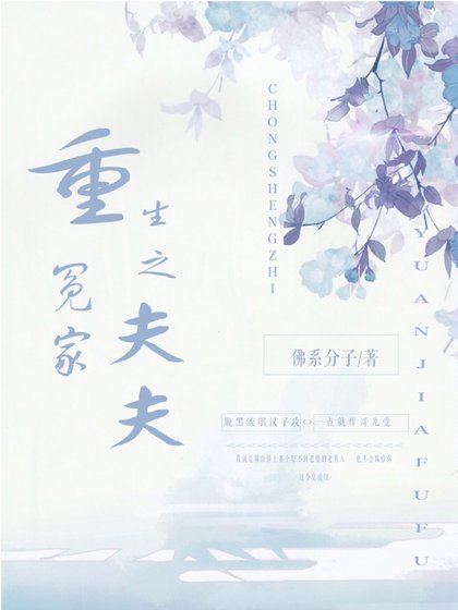重生之冤家夫夫