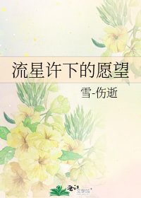 流星许下的愿望
