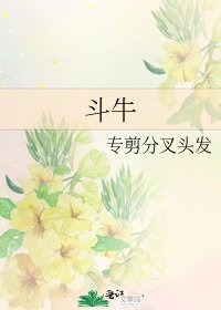 斗牛