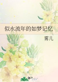 似水流年的如梦记忆