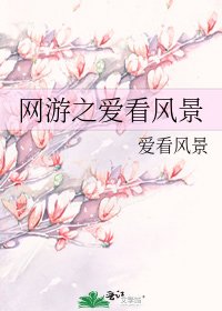 网游之蔼看风景