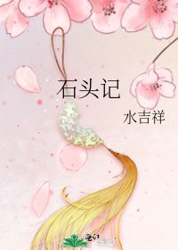 石头记