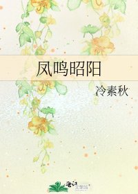 凤鸣昭阳