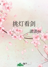 《挑灯看剑》