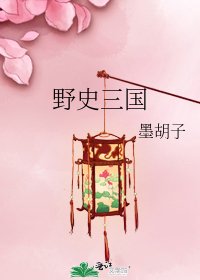 野史三国
