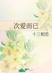 次爱而已