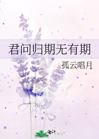 君问归期无有期