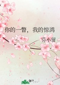 你的一瞥,我的惊鸿