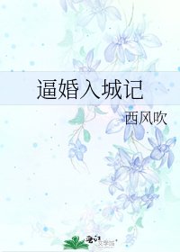 《逼婚入城记》