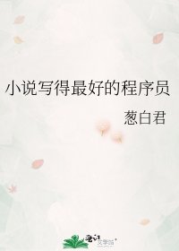 写得最好的程序员