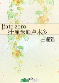 {fate zero}十厘米迪卢木多