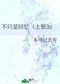 不只是回忆(土银3z)