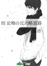 综 论梅の反功略岛路