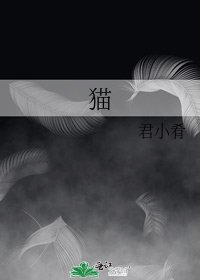 《猫》