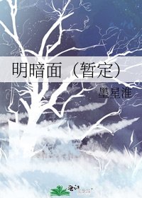 明暗面(暂定)