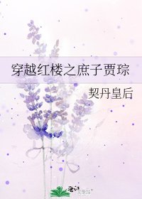 穿越红楼之庶子贾琮