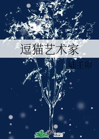 逗猫艺术家