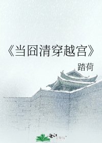 当囧清穿越宫