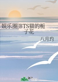《娱乐圈|BTS猫的栀子花》