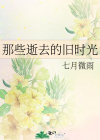 《那些逝去的旧时光》