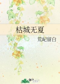 枯城无夏