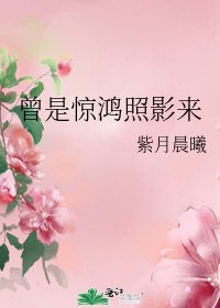 曾是惊鸿照影来