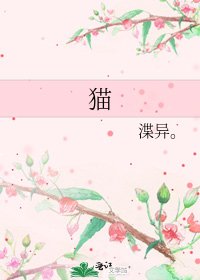 《猫》