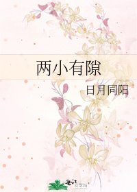两小有隙