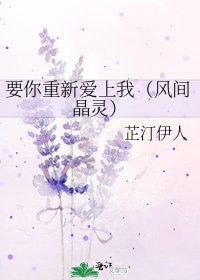 要你重新爱上我(风间晶灵)