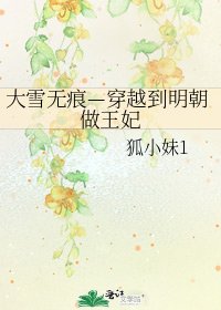 大雪无痕—穿越到明朝做王妃