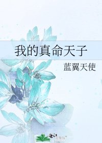 我的真命天子