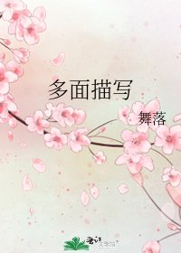 多面描写