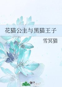 花猫公主与黑猫王子