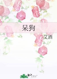 呆狗