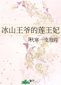 《冰山王爷的莲王妃》