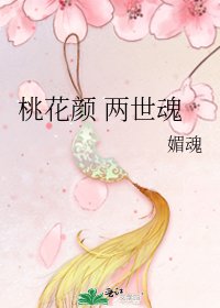 桃花颜 两世线