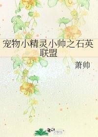 《寵物小精靈小帥之石英聯盟》