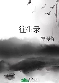 《往生录》