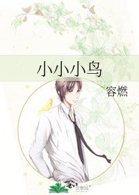 小小小鸟