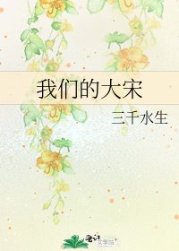 我们的大宋