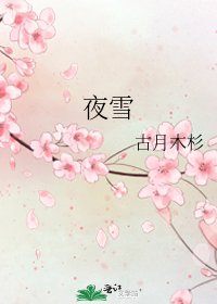 夜雪