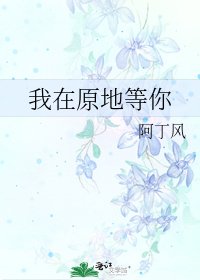 《我在原地等你》