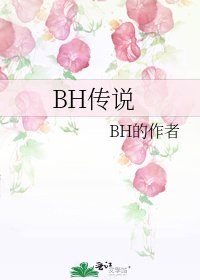BH传说