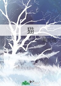 《猫》