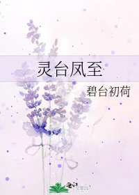 灵台凤至