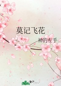 《莫记飞花》