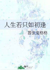 《人生若只如初逢》