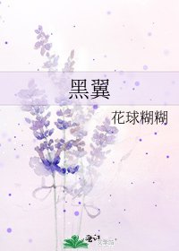 《黑翼》