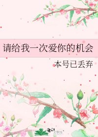 请给我一次爱你的机会