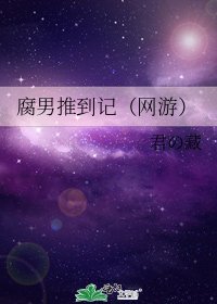 腐男推到记(网游)